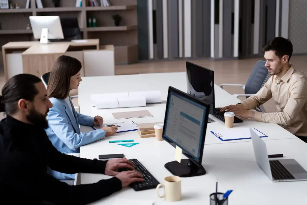 The Role of Customization in ERP Integration